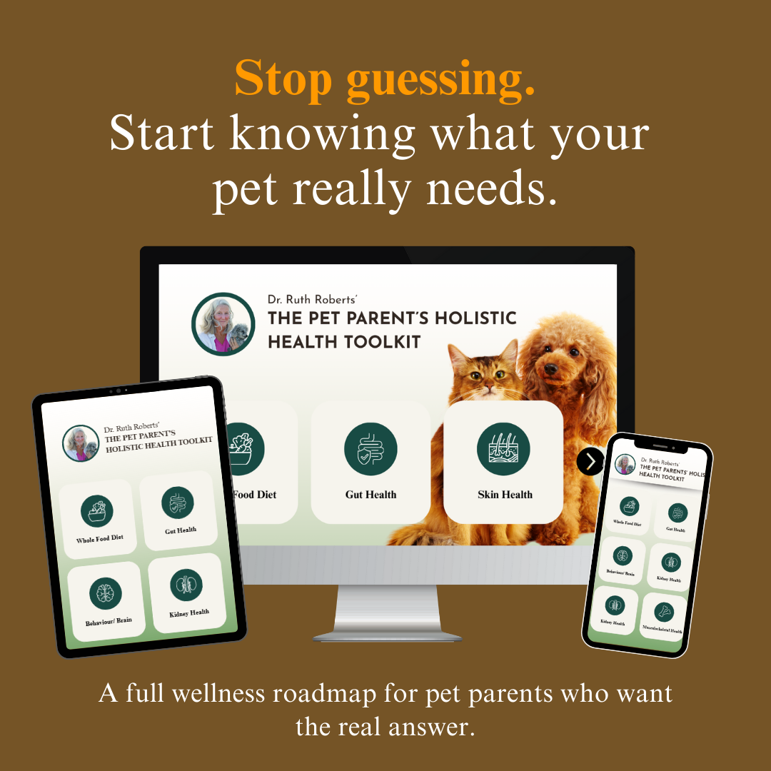 Whole Pet Wellness Academy: The Pet Parent Holistic Health Toolkit
