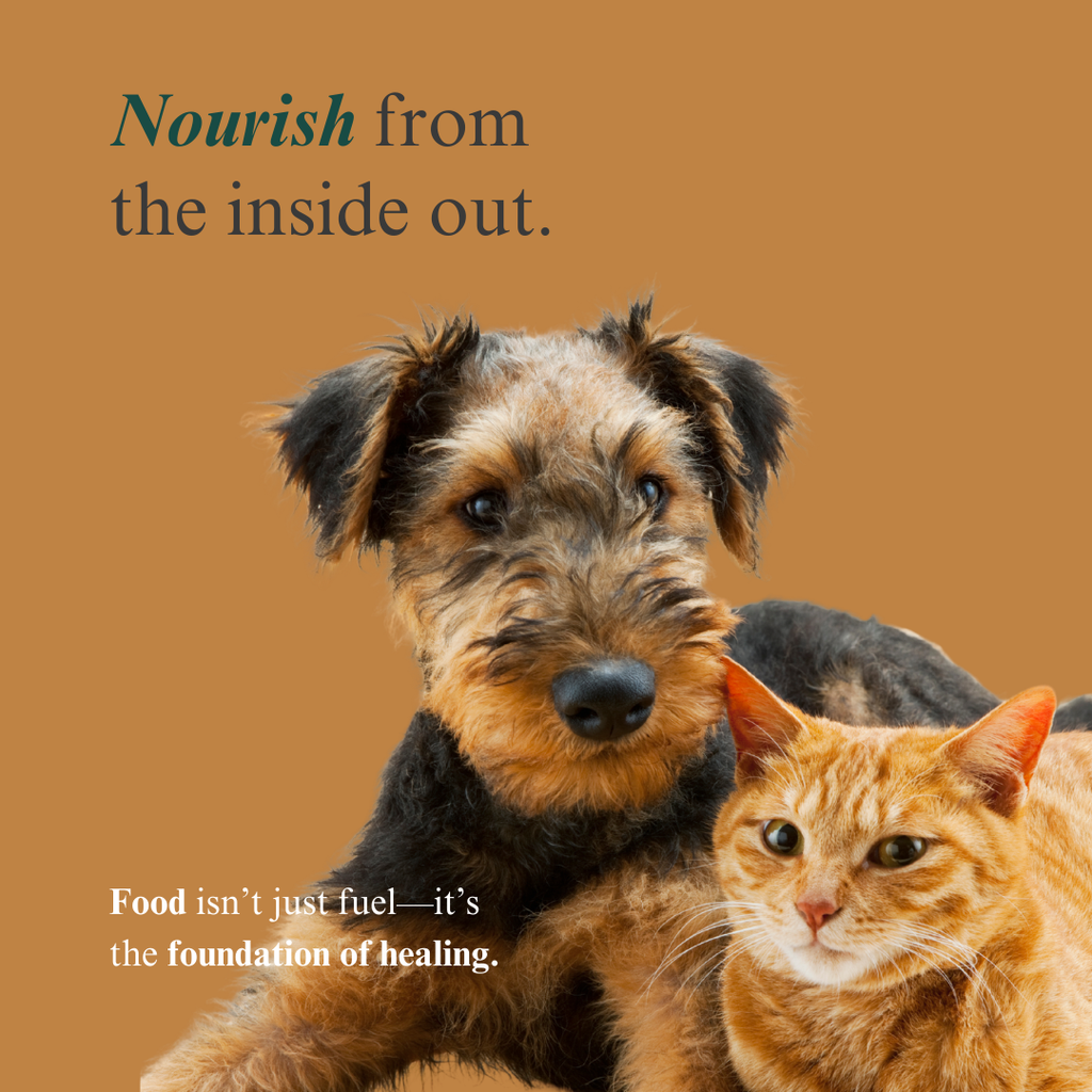 Whole Pet Wellness Academy: The Pet Parent Holistic Health Toolkit