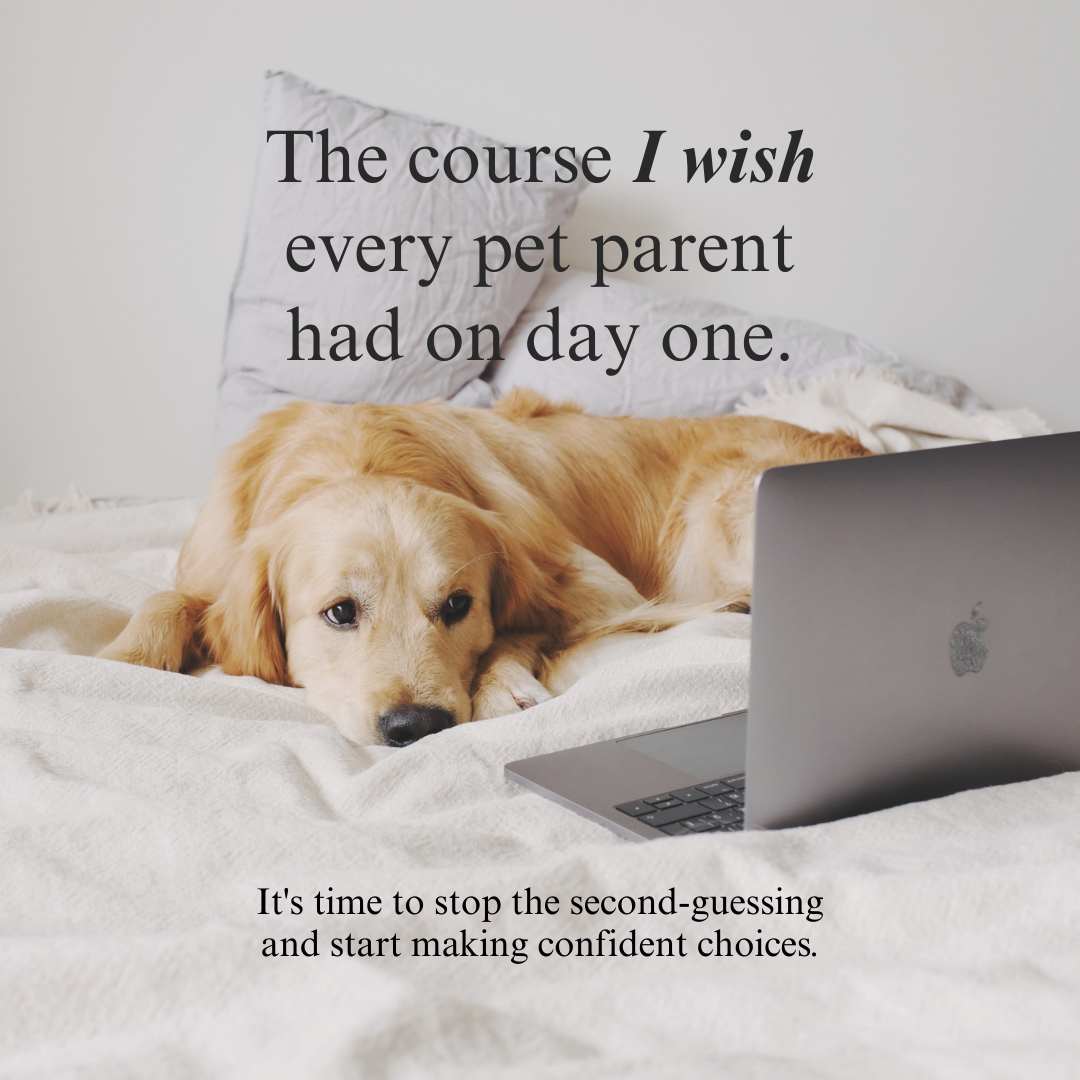Whole Pet Wellness Academy: The Pet Parent Holistic Health Toolkit